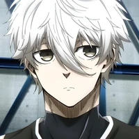 Nagi Sheishiro