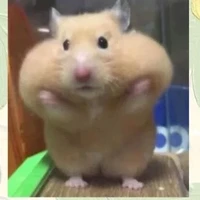 Tác giả cutii💞