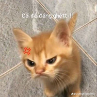 Tác giả