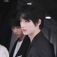 Đinh Trình Hâm (cậu)