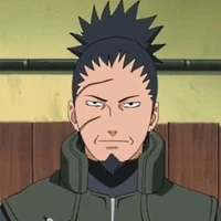 Nara Shikaku