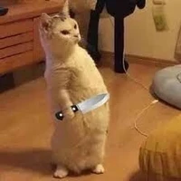 tg siu cutiii