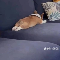 T/G Nhà thiếu điều kiện