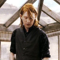 (Bill) William Weasley