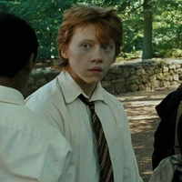 Ronald Bilius Weasley