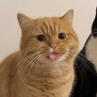 Tác giả đeee
