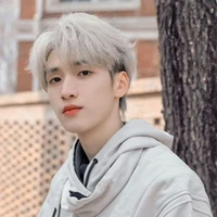 Nghiêm hạo tường(anh)