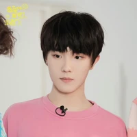 Tô Tân Hạo