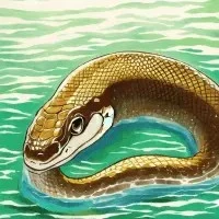 đàn em