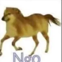 mã diện