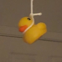 Tác giả bị tạch Hóa