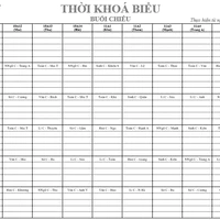 NV phụ (nữ)