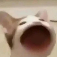 all (tất cả)
