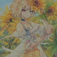 hokat hướng dương