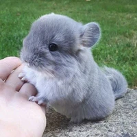 hệ thống không nhân tính :)