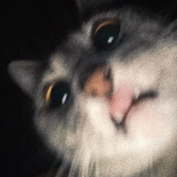 TG thích thằn lằn:))