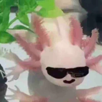 người xem truyện