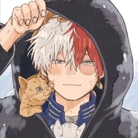 Todoroki Shoto