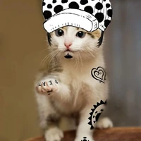 Hệ Thống Mã Số 826 - Law the kitten