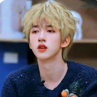 Hạ Tuấn Lâm