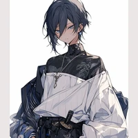 kawasaki harry