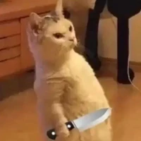 Tác giả thương các đọc giả kkk