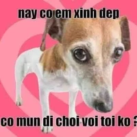 T/G cô géi depzaii