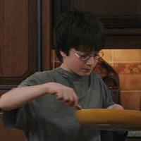 harry potter.