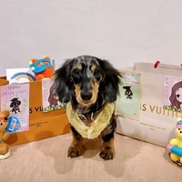 Tác giả dễ thương