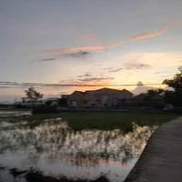 all