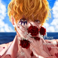 corazon BBI