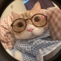 Tgiả