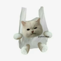 Tác Giả <33