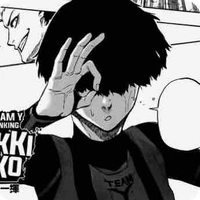 Niko Ikki