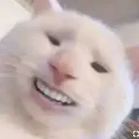 Yie _ tác giả thân thiện 