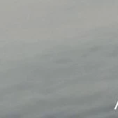 ??? /Nữ/