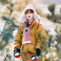 Đinh Trình Hâm (cậu)