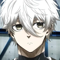 nagi seishiro