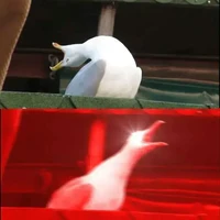 Tác giả nè