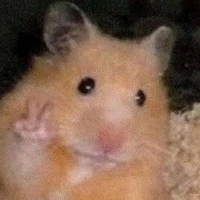 các bạn fan chu che