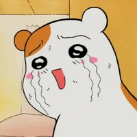 hệ thống _  tiểu lam