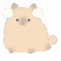 T/b meo meo
