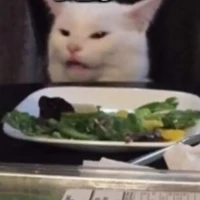 mọi người trong lớp