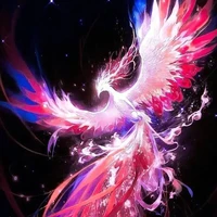 hệ thống [ Yang]