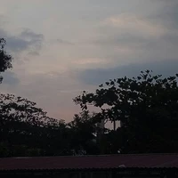 ？？？