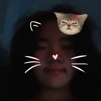 Harri