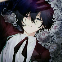 kaito