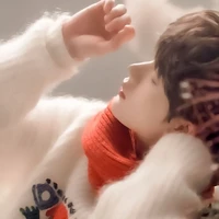 Đinh Trình Hâm(Đinh Nhi)