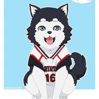 Nigou 2 - No.2