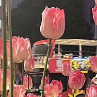 ???